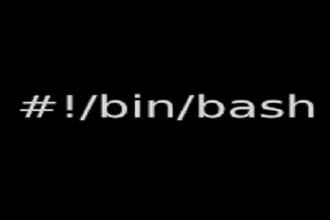 write and automate tasks using professional bash shell scripts