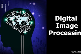 do your image processing and computer vision tasks using opencv matlab python