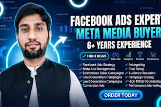 create facebook ads and manage the advertising campaign