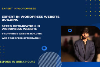 do wordpress speed optimization on google pagespeed insights, gtmetrix