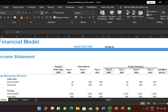 draft financial statements or will create financial models