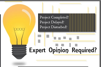 give you expert opinion