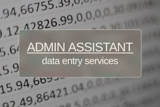 fast data entry data cleaning web research excel data entry