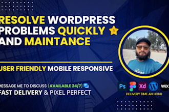 resolve wordpress problems quickly and professionally