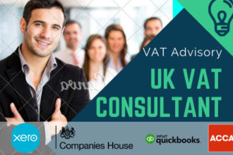 be your UK ebay and amazon vat consultant and advisor