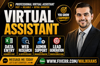 be your VA for data entry and web research