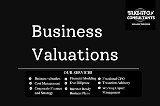 do business valuations investment appraisal npv analysis