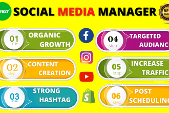 be your social media marketing manager and content creator