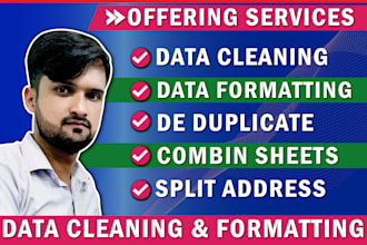 do excel data formatting and cleaning task