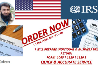 prepare USA individual and US business tax returns