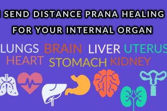 send distance prana healing for your internal organ health