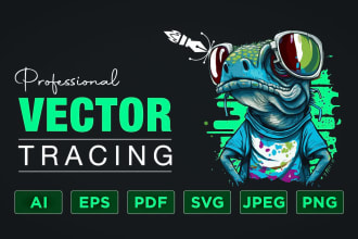 do professional vector tracing, and convert any image, or logo to vector