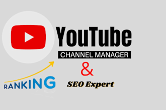 certified youtube channel manager and video SEO expert