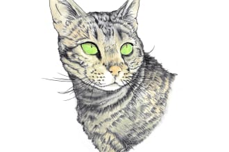 paint watercolor portrait of animal
