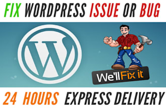 fix wordpress issues, errors, or problems