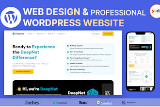 do web design and build a professional wordpress website