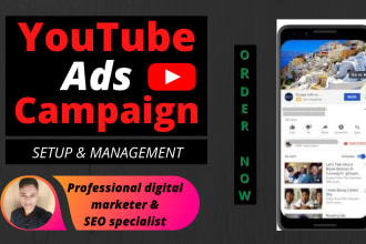 setup and manage youtube ads campaign through google adwords video ad campaign