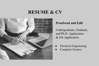 deliver a professional CV writing service for application