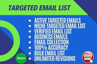 deliver niche targeted email list for your business