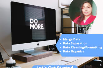 do data processing, separate, organize, clean, format, and merge in excel