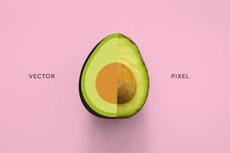 vectorización de logotipos e ilustraciones