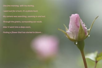 write a poem on any topic of your choice