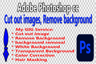 white or transparent background