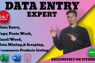 be your virtual assistant for data entry,web research, and data mining