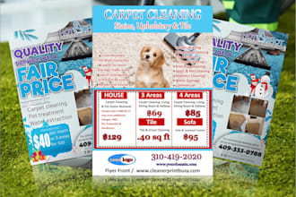 do laundry carpet cleaning pressure washing flyer