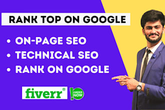 do technical onpage seo of wordpress, wix, squarespace, shopify, godaddy website