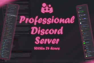 setup professional custom discord server in 24 hours