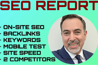 provide a google SEO audit and backlink report
