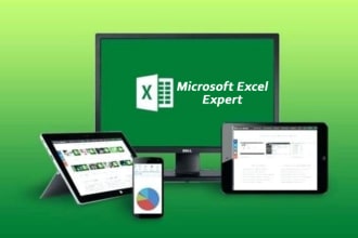 do excel macro, formulas, pivot table, and data cleaning
