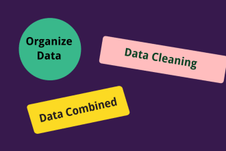 clean and organize your excel or CSV data