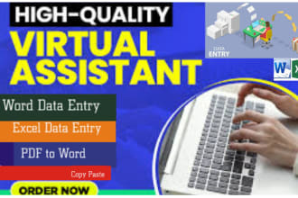 your expert fastest excel  data entry copy paste pdf ms word typing in a day