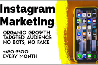 instagram page management, instagram promotion