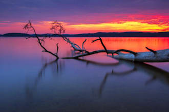 create any photoshop effects,make awsome arts
