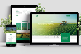 design a responsive website