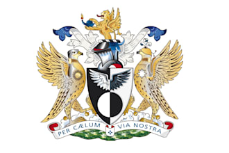 provide a professional modern coat of arms logo design