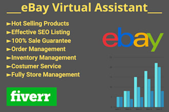 be your expert ebay virtual assistant, VA for ebay