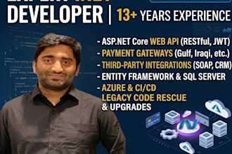 develop asp net core web api, backend and rest api integration