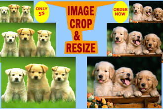 resize and crop bulk images with photo editing