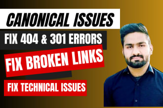fix 404,301,broken links and canonical issues of any website