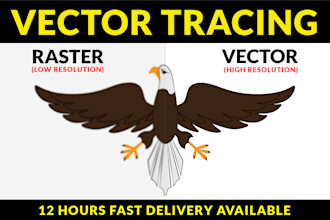 vectorize, retrace, recreate, modify, color changing of logo image any artwork