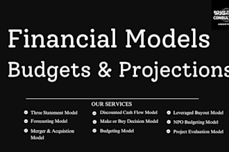 make financial models, budgets, projections