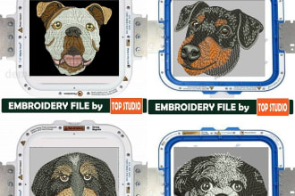 digitize complex embroidery patches with details