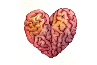 paint anatomic illustration with watercolor