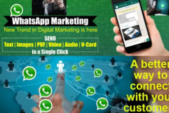provide bulk international whatsapp marketing services