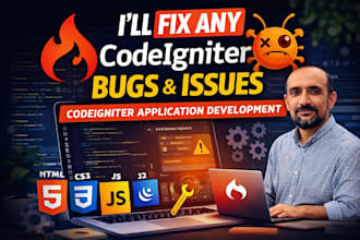 optimize codeigniter, application development