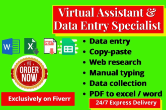 do virtual data entry, web research, copy paste 24 hours